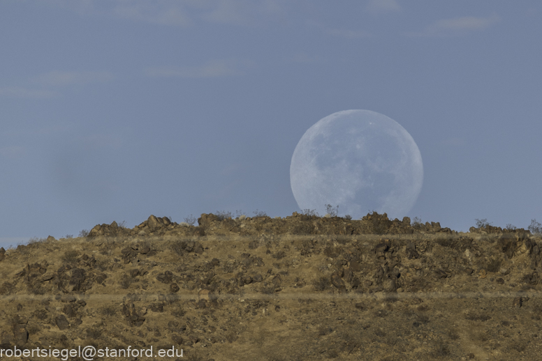 Desert Biogeography of Joshua Tree National Park